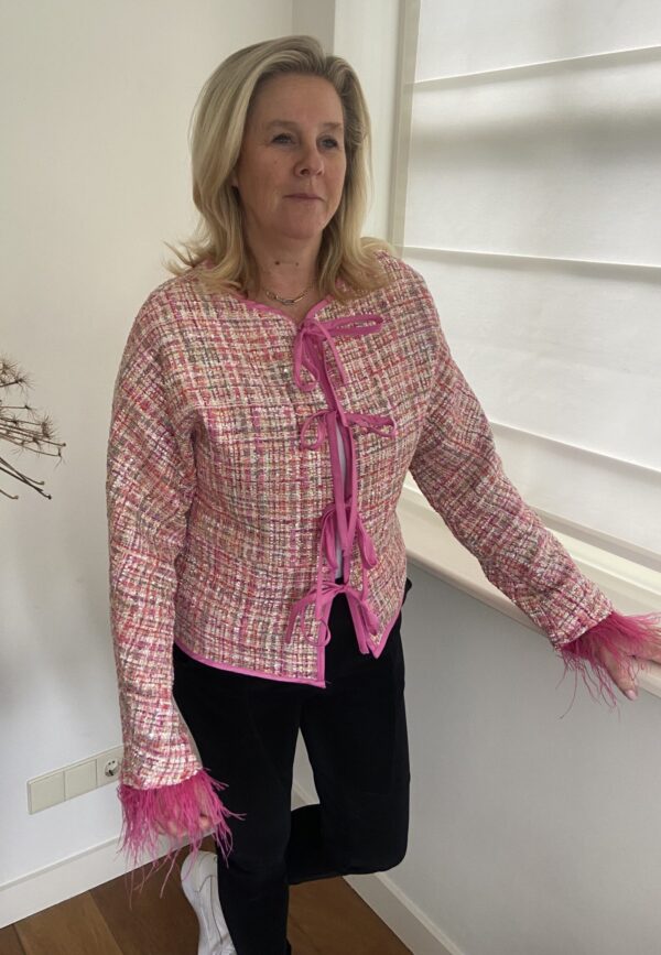 Blazer/ Vest Pink Geweven met veren